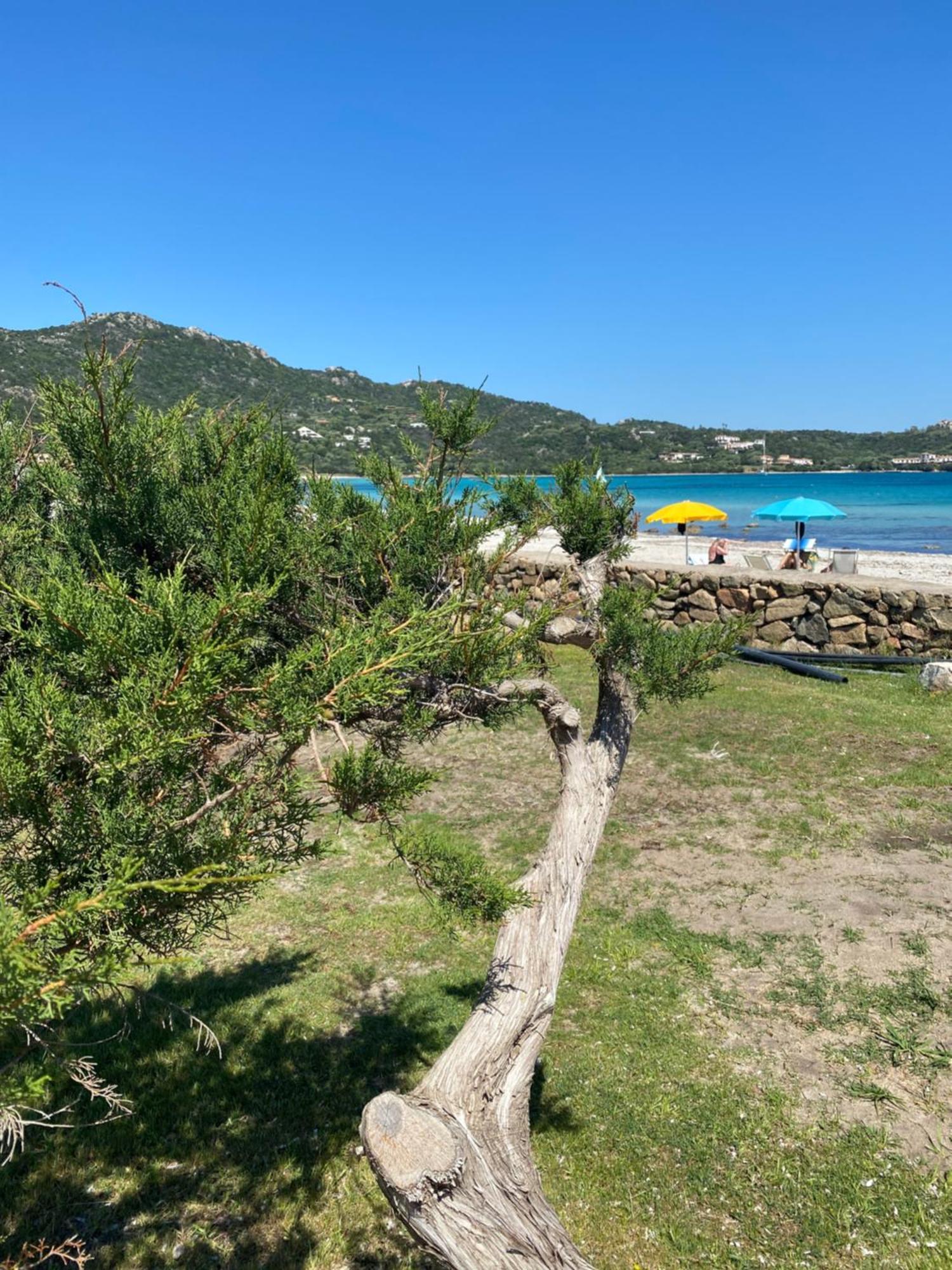Affittacamere Cala Reale Marinella *